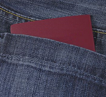 pocket-sized-book